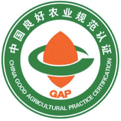 GAP